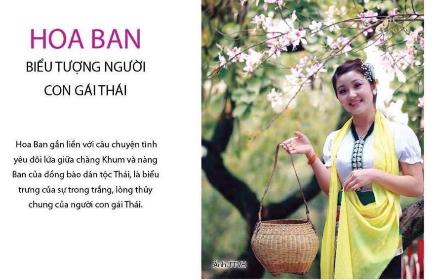Agri Hotel Diện Biên Phủ Εξωτερικό φωτογραφία